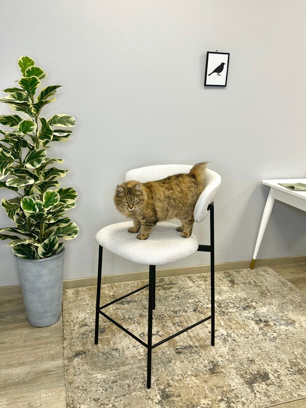 Стул KENNER 309SD ПБ черный/серый