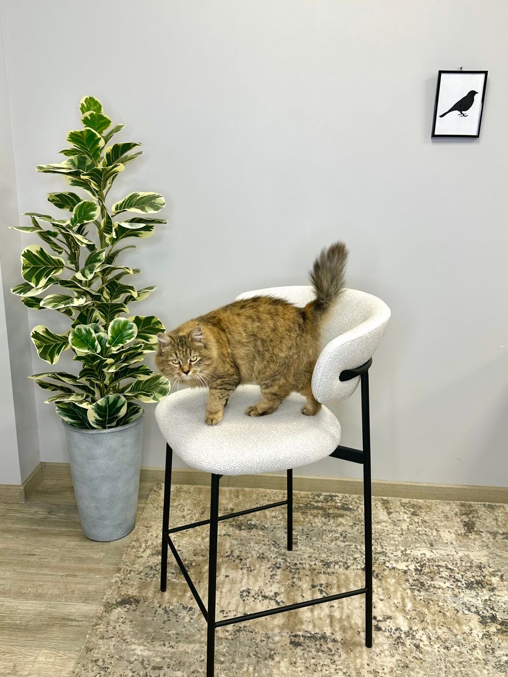 Стул Kenner 309SD барный черный/ткань O01